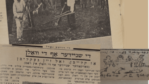 Collage of Soviet Yiddish newspapers